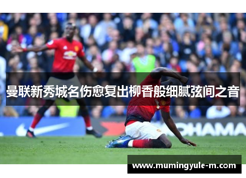 曼联新秀城名伤愈复出柳香般细腻弦间之音