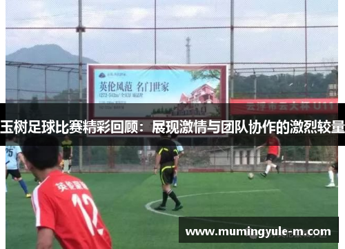 玉树足球比赛精彩回顾：展现激情与团队协作的激烈较量