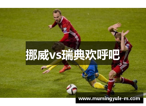 挪威vs瑞典欢呼吧